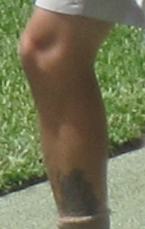 © irene waters 2014