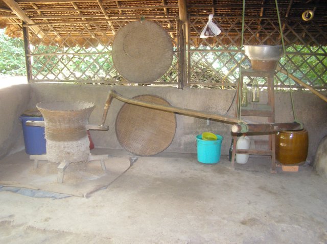 © irene waters 2014