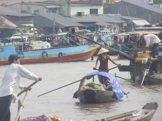 © irene waters 2014