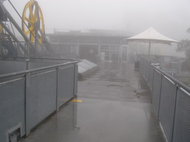 © irene waters 2014