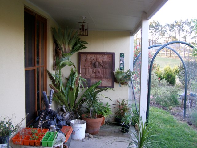 © irene waters 2014