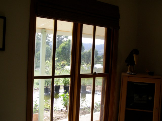 © irene waters 2014