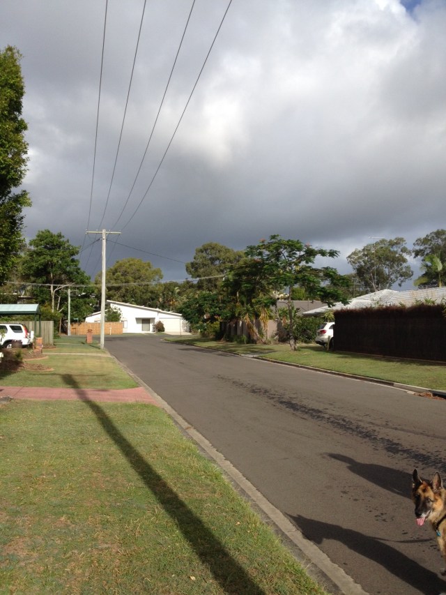 © irene waters 2014