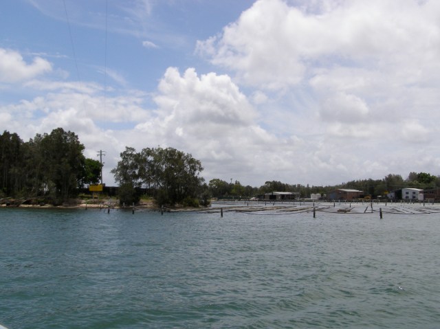 © irene waters 2014