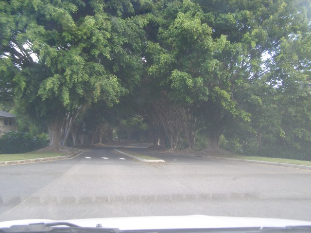 © irene waters 2014