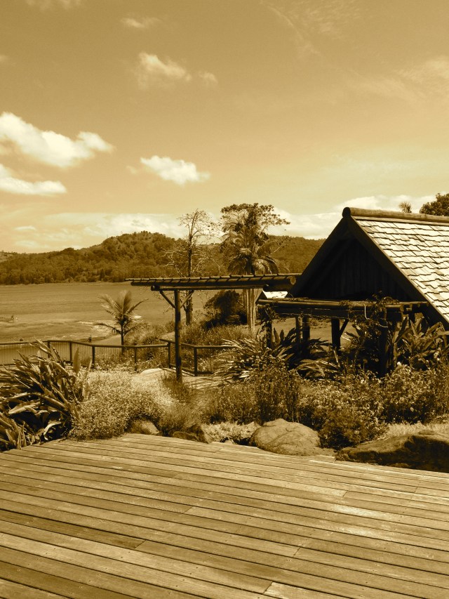 © irene waters 2014