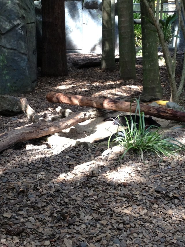 © irene waters 2014