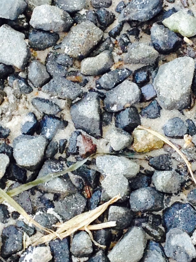 © irene waters 2014