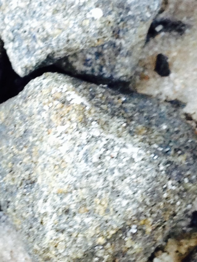 © irene waters 2014