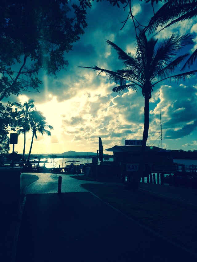 Irene waters 2014 copyright