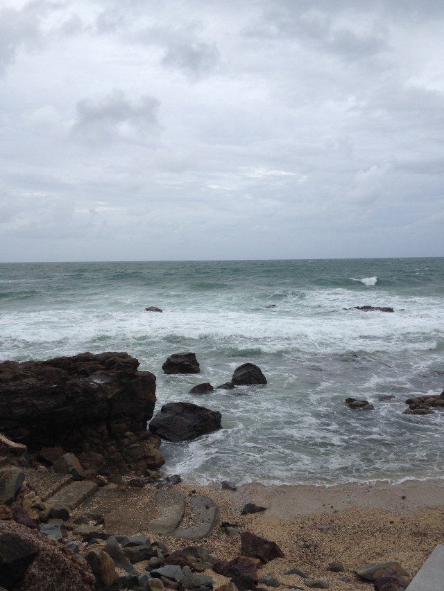 © irene waters 2014