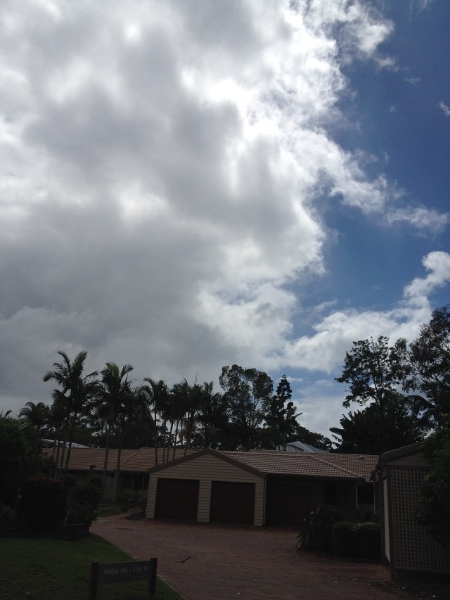 © irene waters 2014