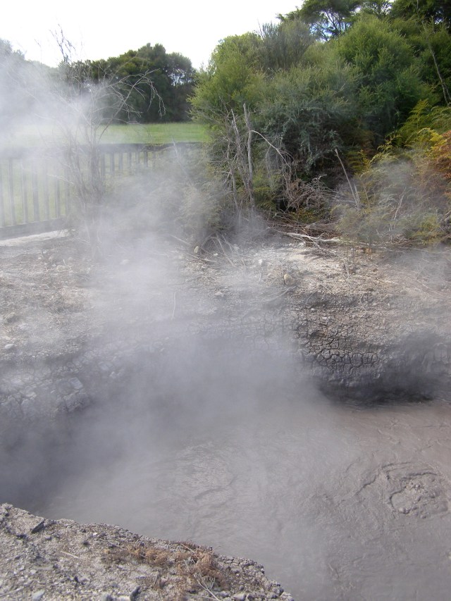 © irene waters 2014 perhaps not this hot