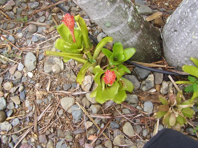 © irene waters 2014