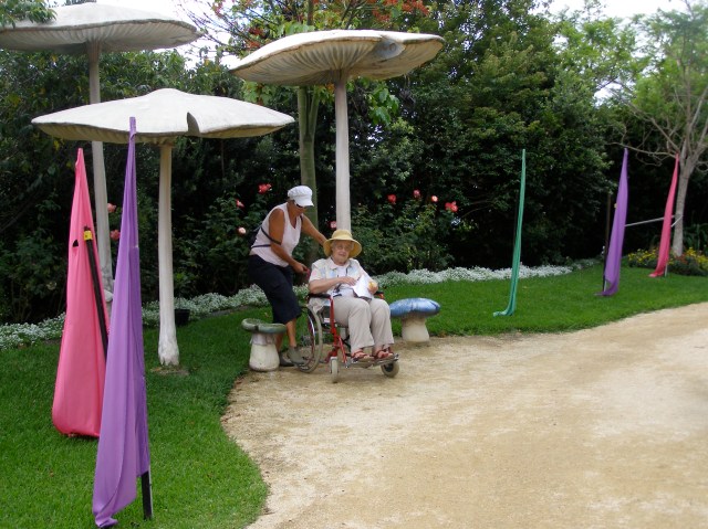 © irene waters 2014