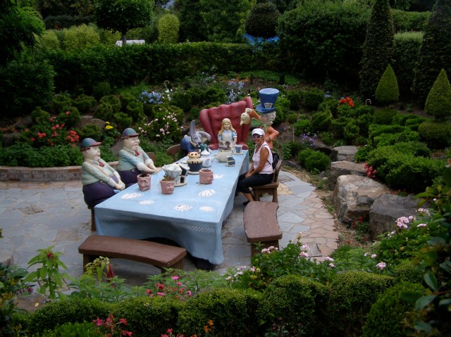 © irene waters 2014