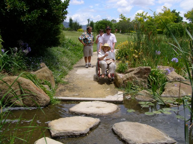 © irene waters 2014