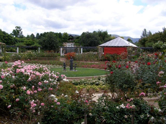 © irene waters 2014