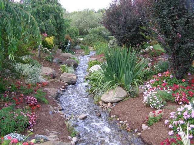 © irene waters 2014