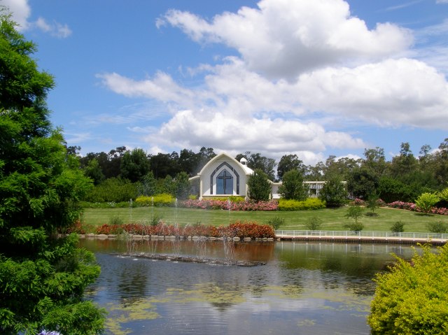 © irene waters 2014