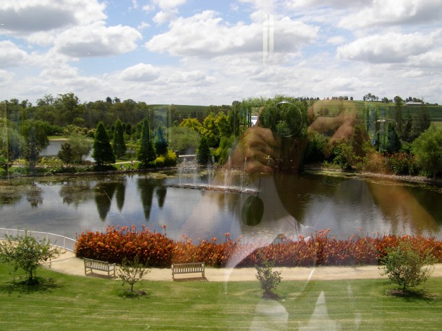 © irene waters 2014