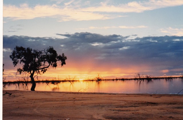 © irene waters 2014