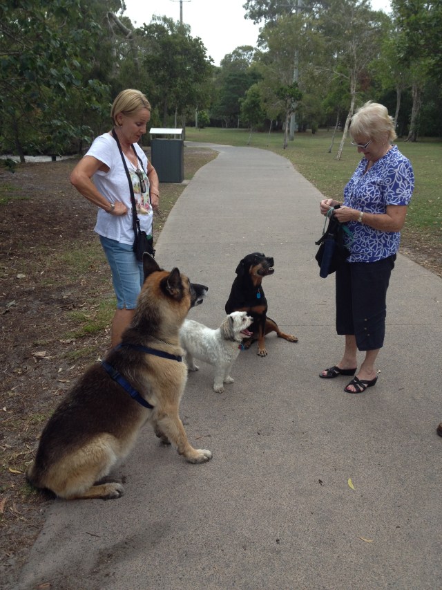 © irene waters 2014