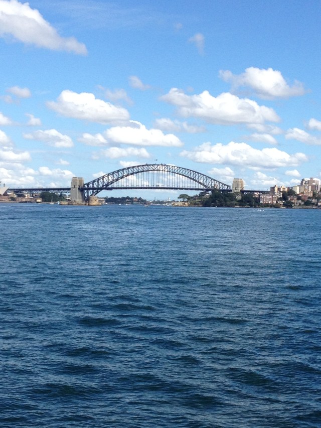 © irene waters 2014