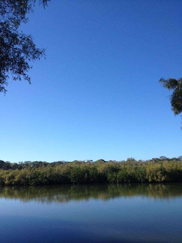 © irene waters 2014