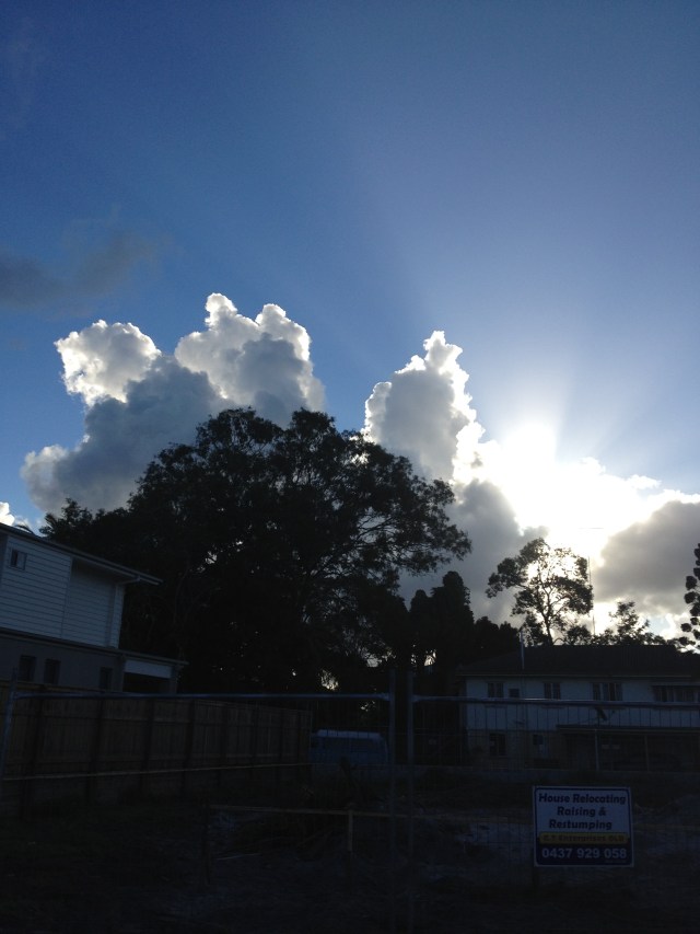 © irene waters 2014