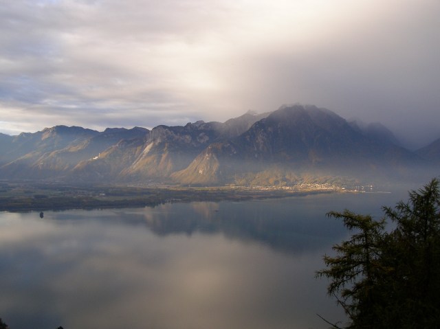 © irene waters 2014