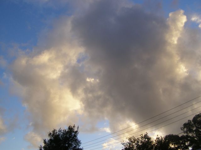 © irene waters 2014