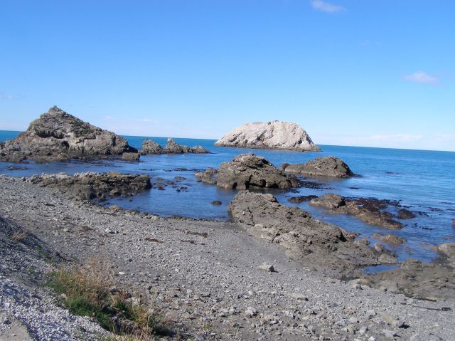 © irene waters 2014