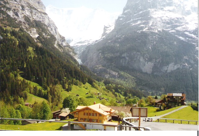 © irene waters 2014