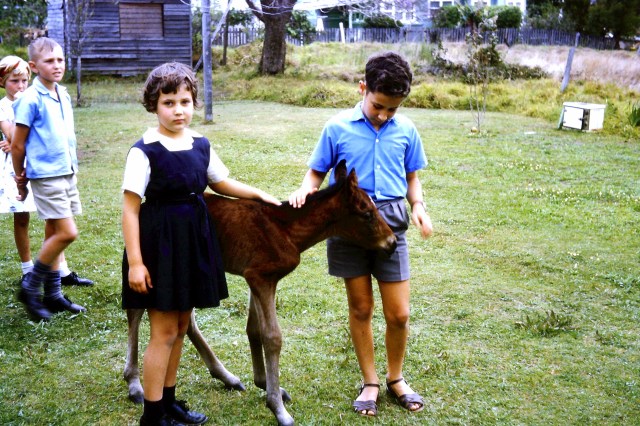 © irene waters 2014