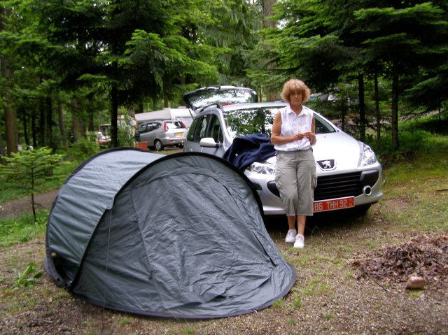 © irene waters 2014