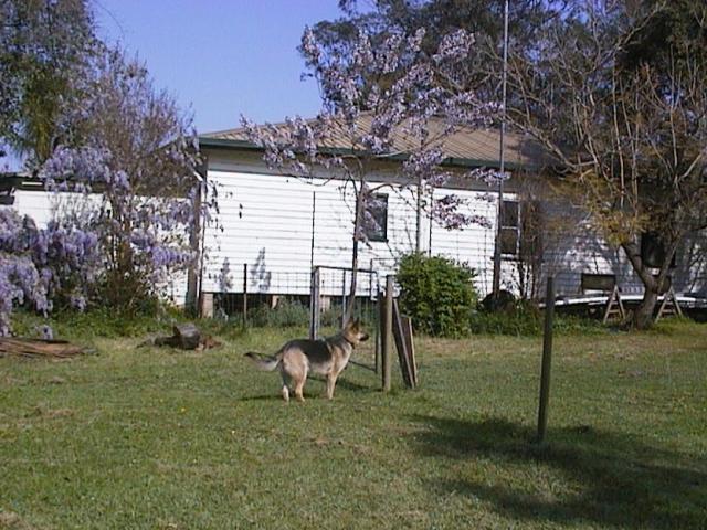 © irene waters 2014