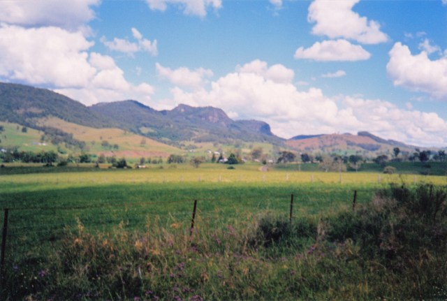 © irene waters 2014