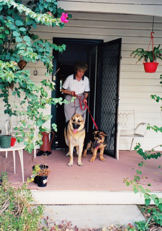 © irene waters 2014