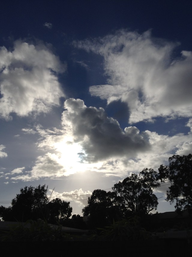 © irene waters 2014