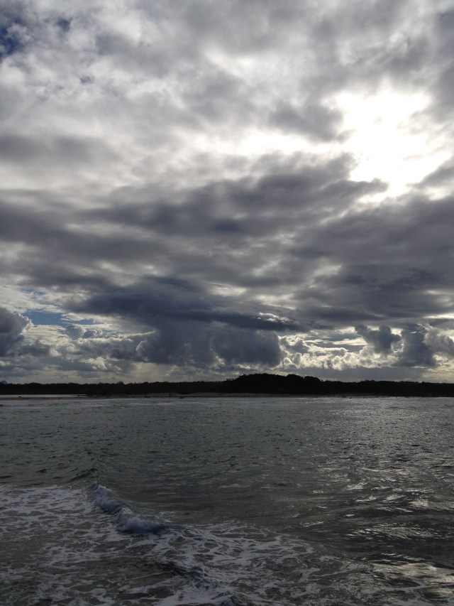 © irene waters 2014