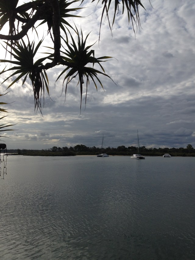 © irene waters 2014 1245hrs