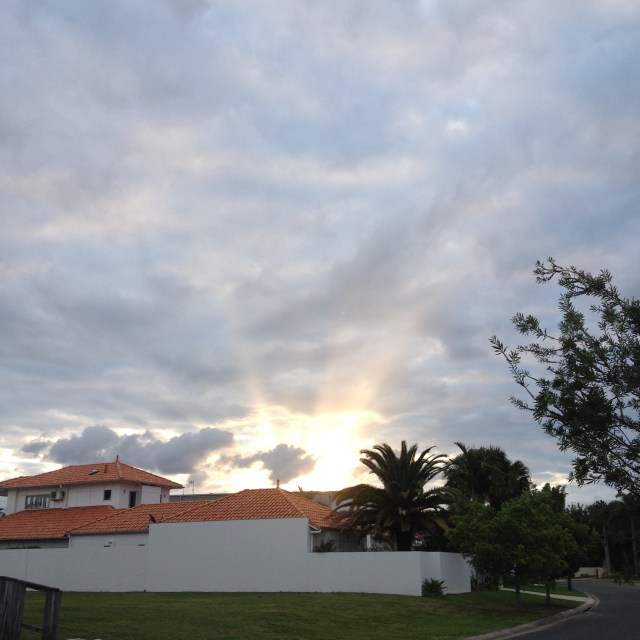 © irene waters 2014 1710 hrs