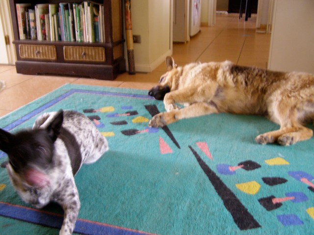 © irene waters 2014