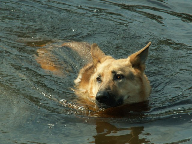 © irene waters 2014