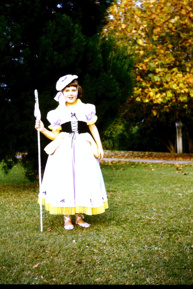 © irene waters 2014