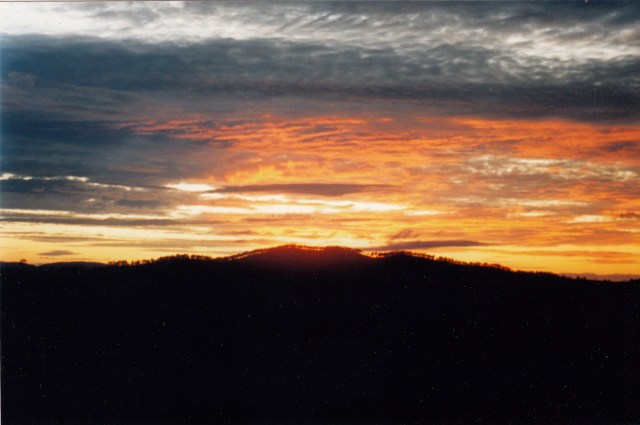 © irene waters 2014