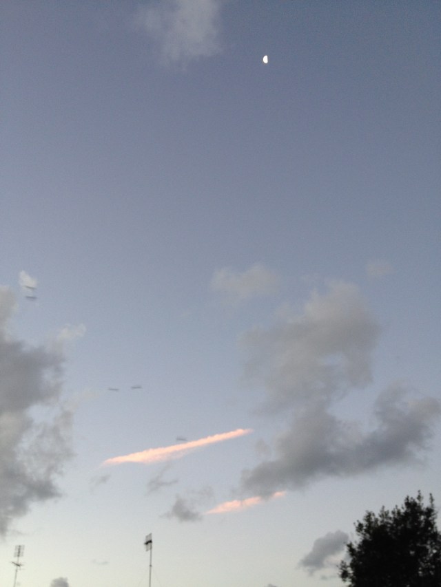 © irene waters 2014