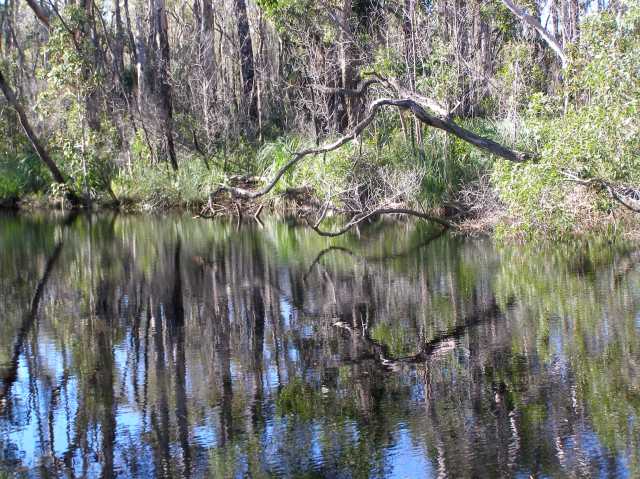 © irene waters 2014