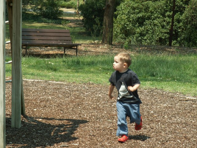 © irene waters 2014